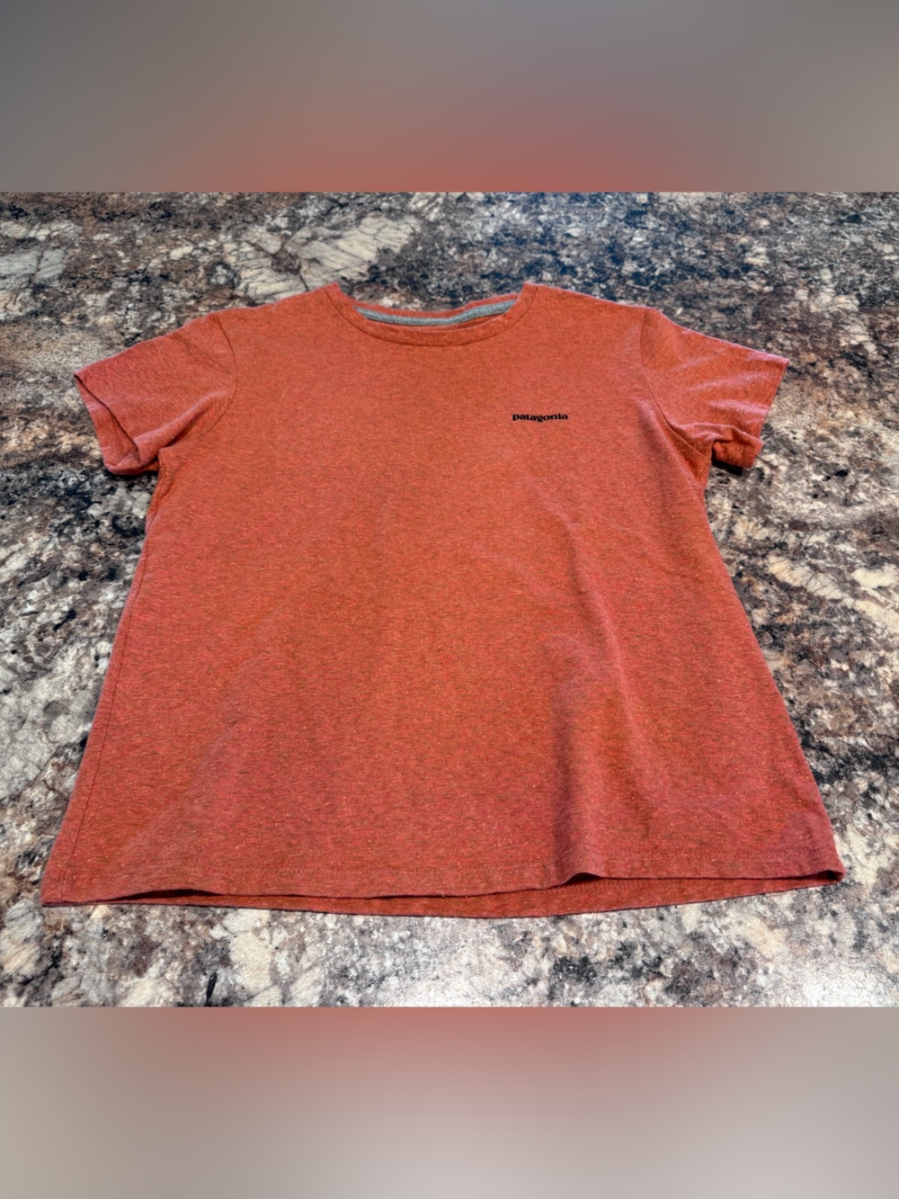 Patagonia Rusted Orange Crewneck Tee with Grey Trim